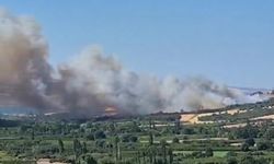 Çanakkale'de orman yangını