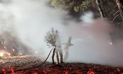 Bakan Yumaklı duyurdu; Çanakkale yangını kontrol altına alındı