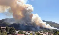 Hatay'da ormanlık alanda yangın!