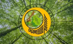 Orman Genel Müdürlüğü: 5 binden fazla yangınla mücadele ettik