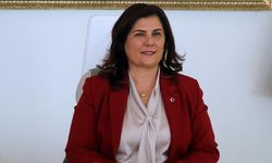 Özlem Çerçioğlu kimdir? Özlem Çerçioğlu hangi ilin belediye başkanı?