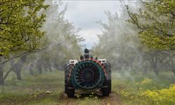 Çiftçiler dikkat! Bakanlıktan pestisite 'Bitki Reçetesi' hamlesi