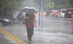 İstanbul'da gök gürültülü sağanak! Ağaçlar devrildi