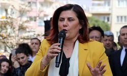 Özlem Çerçioğlu CHP'den istifa etti