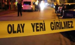33 kedi ölü bulunmuştu: Veteriner gözaltına alındı