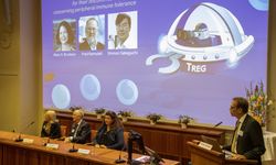 2025 Nobel Tıp Ödülü sahiplerini buldu