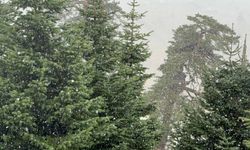 Kar kapıya dayandı: Mevsimin ilk karı Bolu’ya düştü