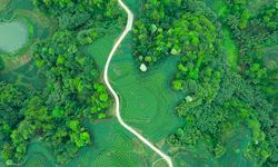 Çin, karbon zirvesi ve nötrlüğü üzerine beyaz kitap yayımladı