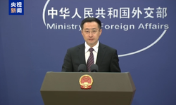 Çin: Japonya askerî genişleme için bahane aramayı bırakmalı