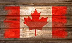 CHP üyeliği iltica başvurusunda yeterli neden