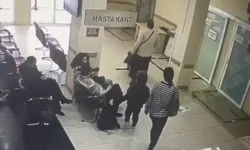 Böcek ailesi soruşturmasında gıda raporu çıktı: Kokoreç ve midyede beklenmedik sonuç