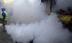 Pakistan'da dang hummasına karşı yoğun önlemler alınıyor