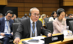 Çinli temsilci: Japonya sıkı bir şekilde kontrol altına alınmalı