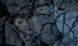 "Tavşan İmparatorluğu"na 7 ödül birden