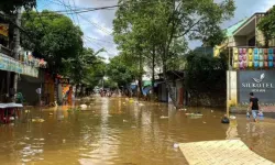 Vietnam'ı sel vurdu: 2 binden fazla ev sular altında