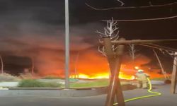 Beylikdüzü'nde çocuk parkı alev alev yandı