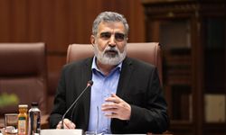 İran'dan UAEA'ya eleştiri: Siyasi tutum işbirliğini engelliyor