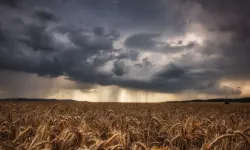 İran kuraklıkla mücadelede İHA destekli bulut tohumlamaya geçti