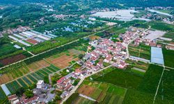 Xi Jinping’den tarım ve kırsal kalkınma için yeni talimatlar