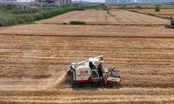 Çin'in 2025 yılı tahıl alım hacmi 415 milyon tona ulaştı