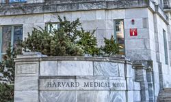Harvard Tıp Fakültesi’nde kadavra skandalı: Müdür cesetleri sattı