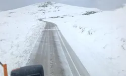 Yoğun kar nedeniyle o ilde yollar kapandı!