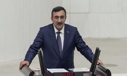 Cumhurbaşkanı Yardımcısı Yılmaz'dan enflasyon açıklaması