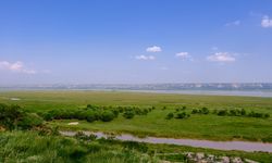 Çin, iklim kaynakları ekonomisi üzerine ilk Mavi Kitabı yayımladı