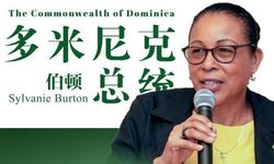 "Xi’nin inisiyatifleri tüm insanlığa hizmet ediyor"