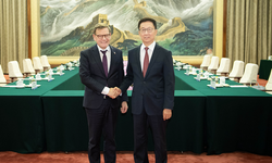 Han Zheng, Almanya Dışişleri Bakanı Johann Wadephul ile görüştü