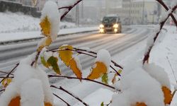 Erzurum buz kesti...-30 dereceyle rekor kırdı!