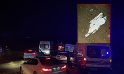 Libya heyetini taşıyan jet, elektrik arızasından kaynaklı acil iniş talep etmiş