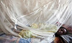 Nijerya'da Lassa ateşi alarmı: Ölü sayısı 185 oldu