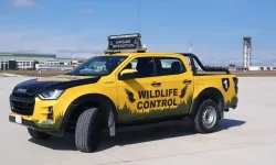 Türkiye’de bir ilk! İstanbul havalimanlarında kuş bilimciler göreve başladı!