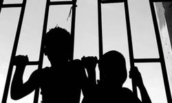 'Suça sürüklenen çocuklar' için kurulan komisyonun üyeleri belli oldu