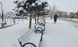 Van’da 102, Hakkari’de 70 yerleşim yerinin yolu kardan kapandı