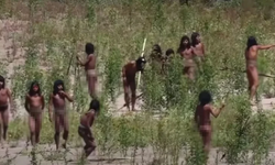 Amazon ormanlarında bulunan ilkel kabilenin en net görüntüleri yayınlandı