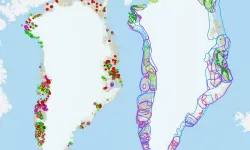 Grönland'ın altındaki hazine: Trump'ın gözünü diktiği kritik madenler