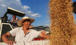 Çin’in tahıl üretimi iki yıldır 700 milyon tonun üzerinde