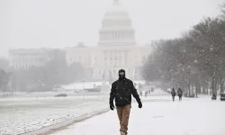 Acil durum ilan edildi: "Mecbur kalınmadıkça dışarı çıkmayın"