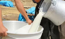 Çiğ süte zam: Tavsiye fiyatı litre başına 22,22 lira oldu