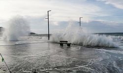 İstanbul Valiliği bilançoyu açıkladı: 89 çatı uçtu, 45 ağaç devrildi