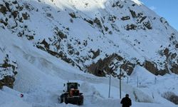 Hakkari-Van kara yoluna çığ düştü
