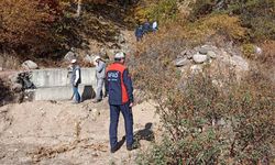 Kütahya’da odun toplamak için gittiği ormanda ölü bulundu