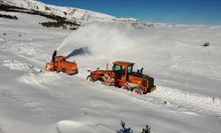 Kar ve tipi 3 kenti vurdu: 65 yerleşim yerine ulaşım yok