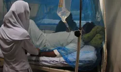 DSÖ'den dünyayı korkutan Nipah virüsüyle ilgili açıklama!