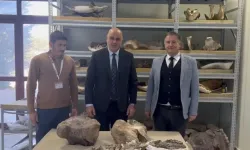 Iğdır'da tarihi keşif; Gelmiş geçmiş en büyük dev gergedan bulundu