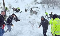 Van'da iki mahalleye çığ düştü: 1 kişi hayatını kaybetti, 20 ev tahliye edildi