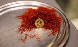 Altından daha değerli yatırım: Kilosu 900 bin TL!