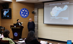 Çin’de çarpıcı keşif: Dünya’nın ilk büyük yok oluşunun sırları ortaya çıktı